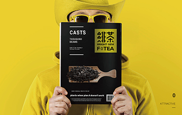 北京绯茶品牌设计